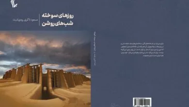 6017797.jpg